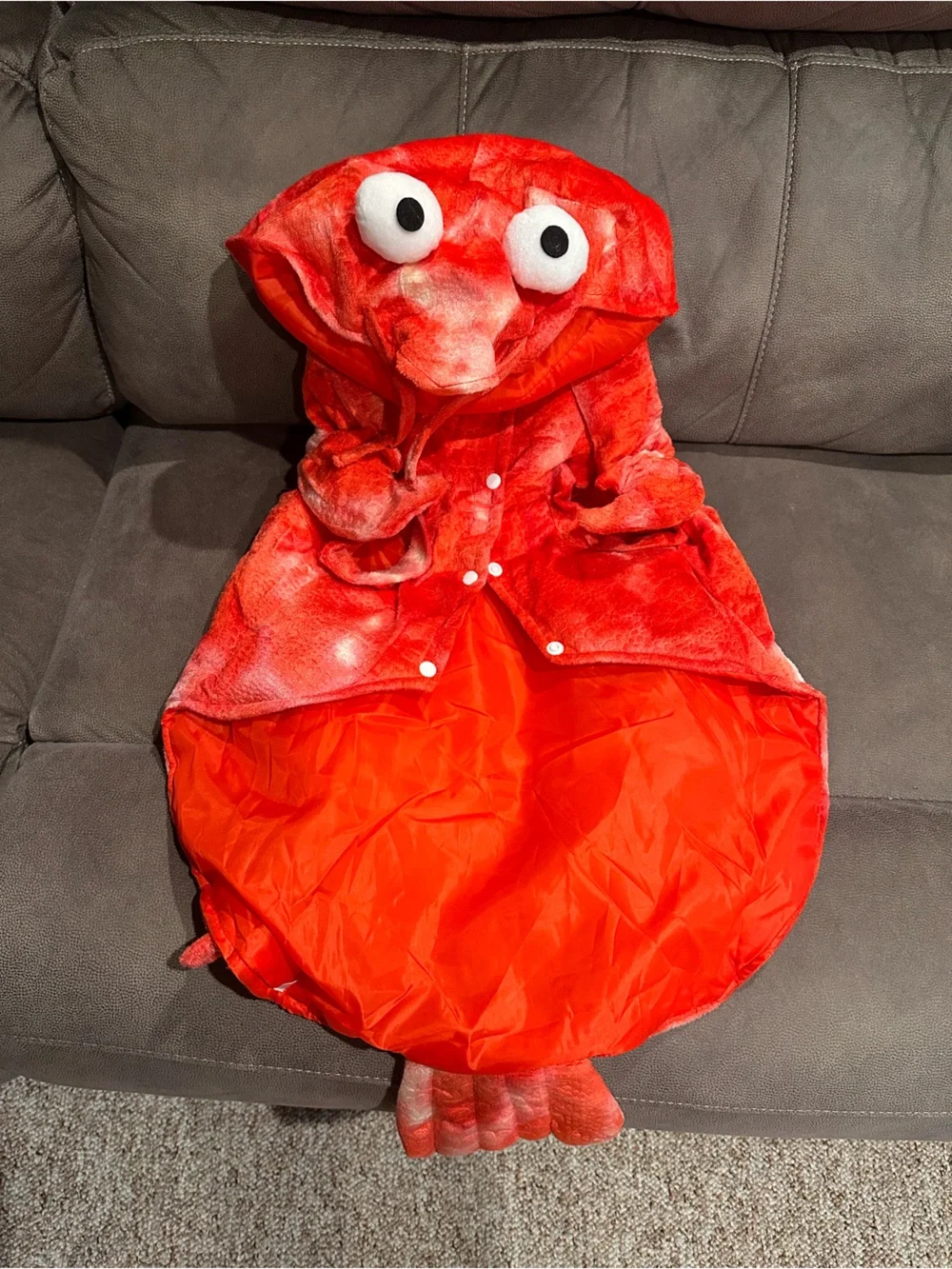 Red Lobster Crab Kids Costume - Plush Hooded Outfit
